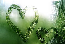 包含今晨突围战来临，洛杉矶快船围绕NBA总决赛豪取连胜，悬念犹存，训练强度明显提升的词条